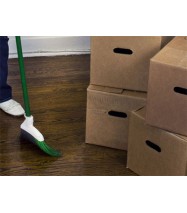 Move IN or OUT Cleaning